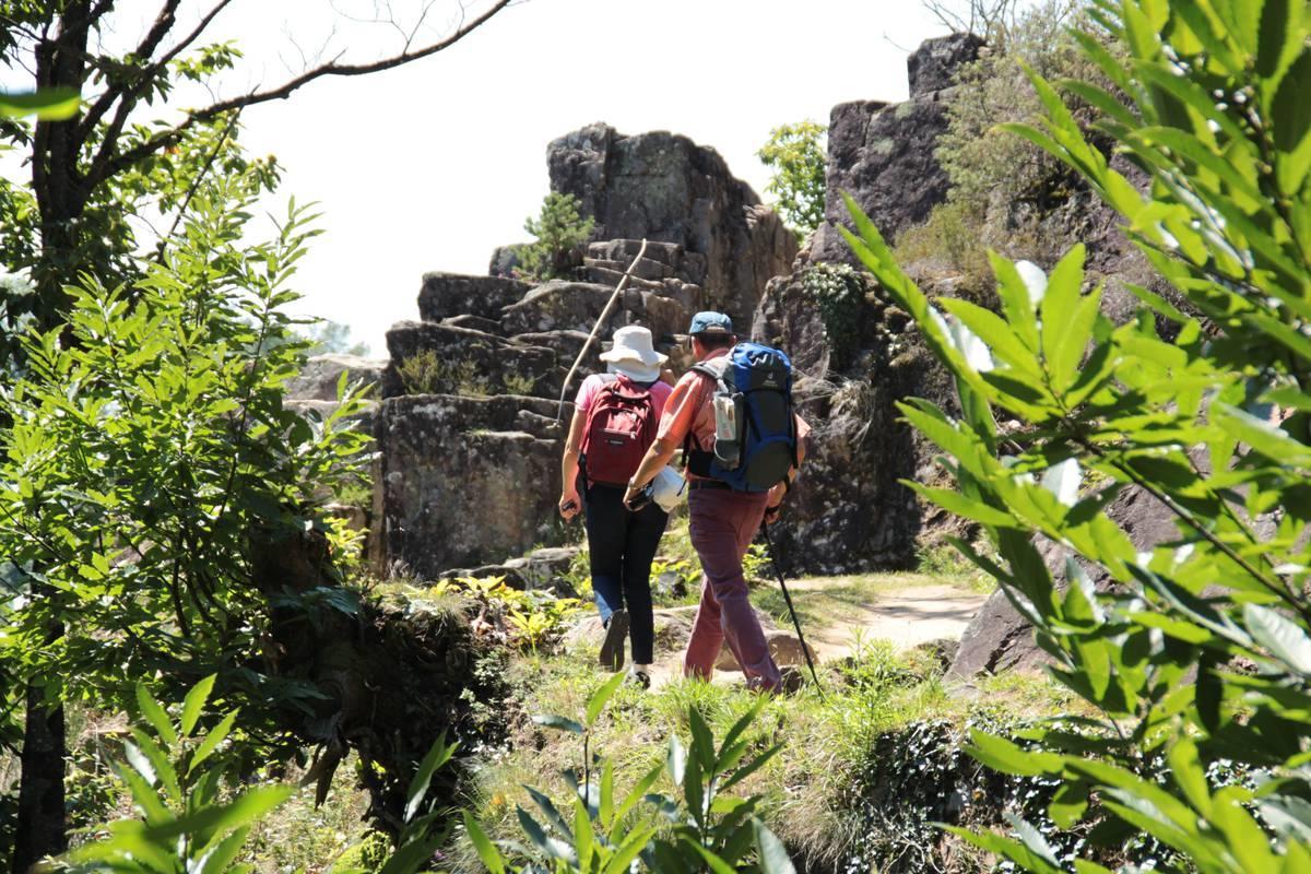 Bed & Breakfast Le Saut De La Bergere Aubazines
