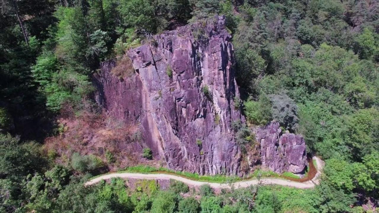 Bed & Breakfast Le Saut De La Bergere