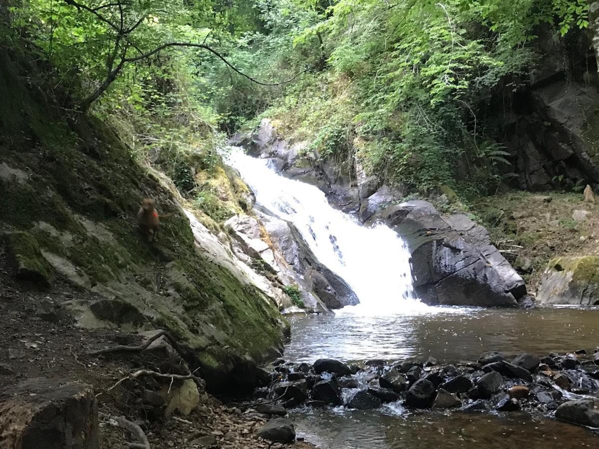 Bed & Breakfast Le Saut De La Bergere Aubazines